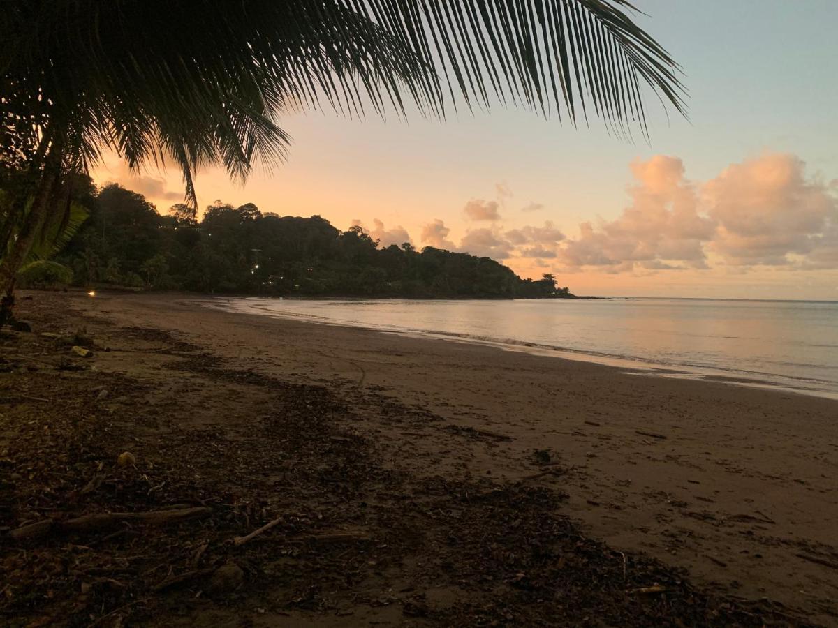 Osa Corcovado Lodge Drake Bay Exterior photo